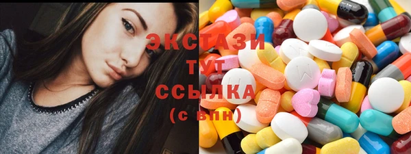 СК Алексин