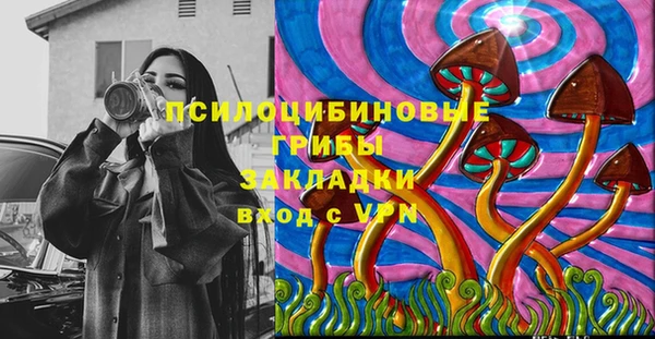 индика Алзамай